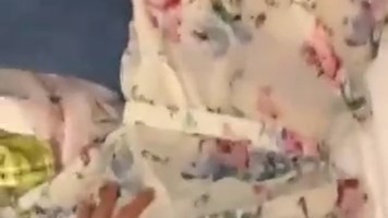 Bokep Indo Disepong Chindo Suka Oral Sex